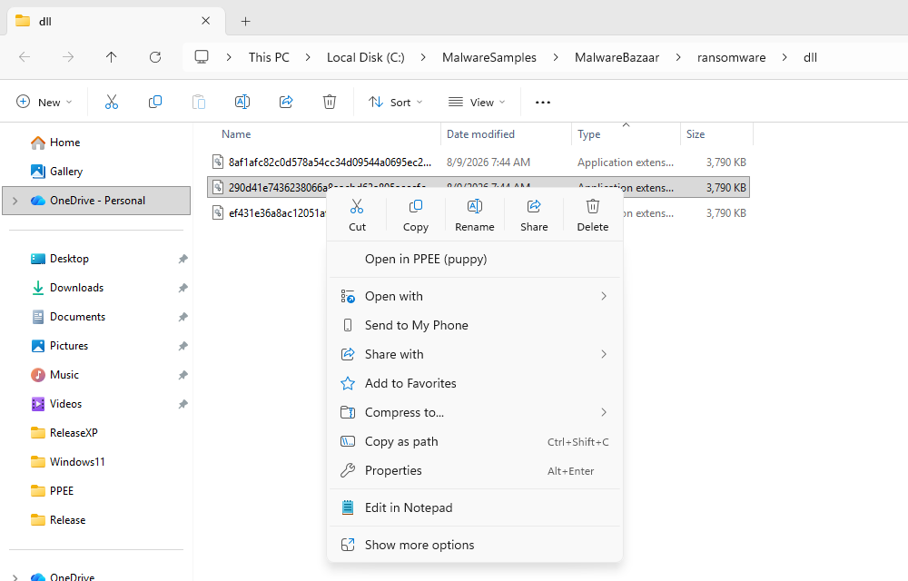 Open in PPEE (puppy) in Explorer